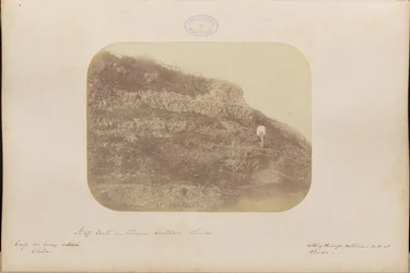 Schnitt im Kreideboden, Olinda