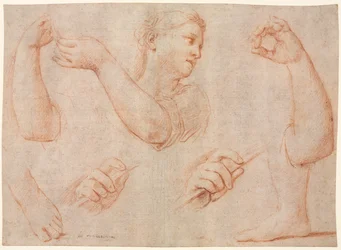 Studie einer jungen Frau, die ein Tamburin spielt, und Studien eines Arms, Hände und Füße (Studien für "Miriam führt den Chor der Frauen, die für die Niederlage des Pharao danken")