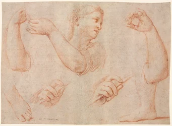 Studie einer jungen Frau, die ein Tamburin spielt, und Studien eines Arms, Hände und Füße, ca. 1711