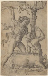 Herkules und Nessus