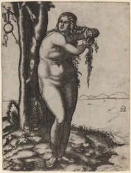 Die Geburt der Venus