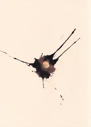Blot 2, 2018