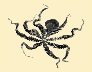 Oktopus, 2019