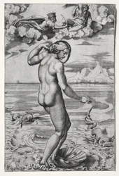 Die Geburt der Venus