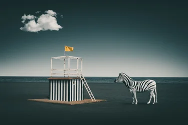 Surrealer Strandzebra