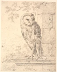 Baron von Stoschs Eule