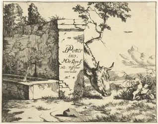 Weidendes Rind hinter einer Mauer (Rinder)