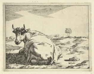 Liegende Kuh
