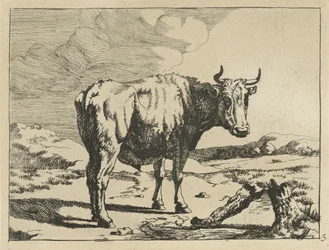 Stier stehend bei einem Baumstumpf