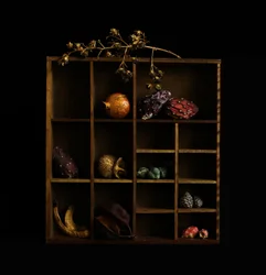 Rustikales botanisches Stillleben