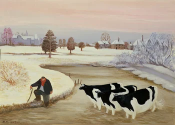 Kühe in einem Winterfluss