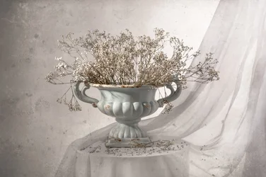 Shabby Chic Blumen Stillleben