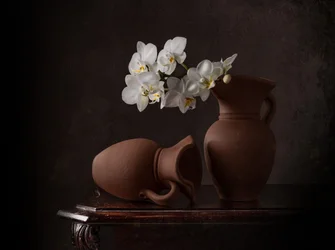 Weiße Orchideen Stillleben