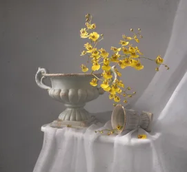Gelbe Orchidee Stillleben