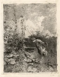 Der Botaniker