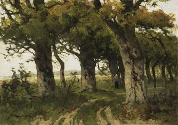 Allee der Eichen im Spätsommer