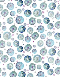 Seeigel Blau