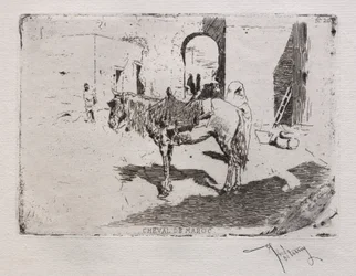 Marokkanisches Pferd