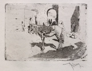 Pferd aus Marokko