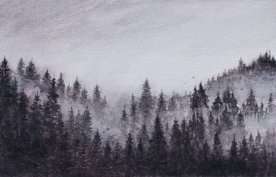 Neblige Waldlandschaft