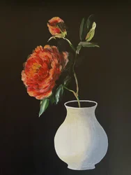 Lebendige Pfingstrosenblüte