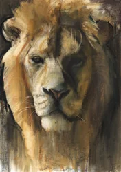 Asiatischer Löwe, 2015, (Pigment, Pastell und Conté auf Papier)