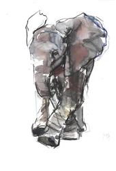 Baby Elefantenstudie, 2018