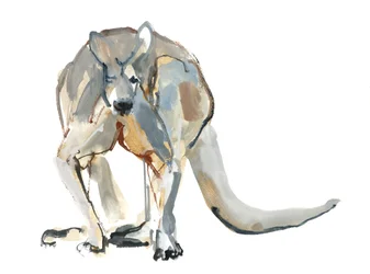 Boxer (Roter Känguru), 2012