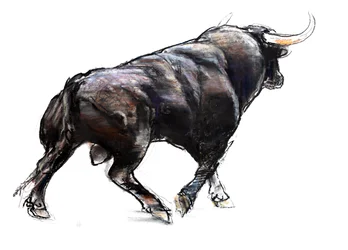Stier