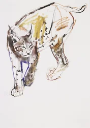 Europäischer Luchs
