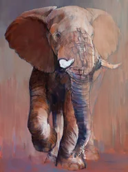 Loisaba-Bulle, 2018