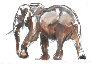 Loisaba Schutzgebiet, 2018