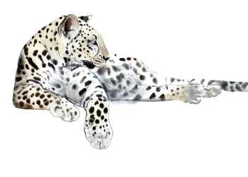 Lang (Arabischer Leopard), 2015