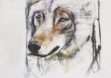 Prozess gegen den Wolf