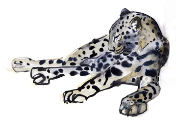 Liegender (Arabischer Leopard)