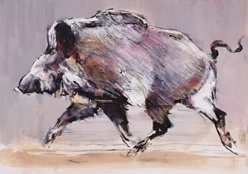 Rennender Eber, 1999