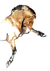 Hengst (Przewalski), 2013 (Sennelier-Tinte, Aquarell und Gouache)
