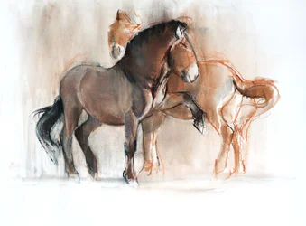 Zwei (Przewalski), 2013