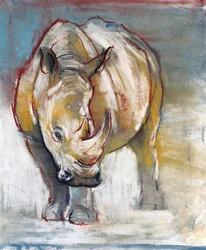 Weißes Nashorn, Ol Pejeta, 2018