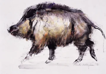 Wildschwein, 1999