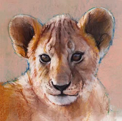 Jüngstes Junges, Masai Mara, 2019