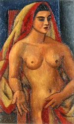 Der Sari