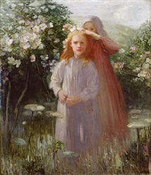 Wilde Rosen