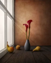 Rote Lilien im Fensterlicht
