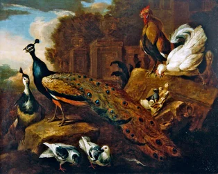 Pfauen, Tauben und andere Vögel sowie ein klassizistisches Gebäude