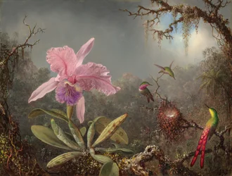 Cattleya-Orchidee und drei Kolibris