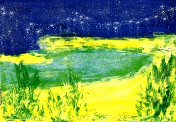 Sternenhimmel über dem See