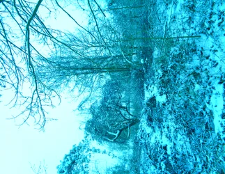 Winter Blau