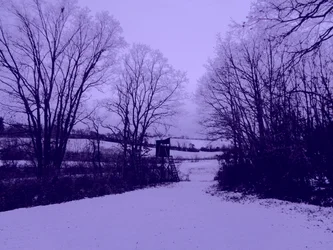 ohne Titel