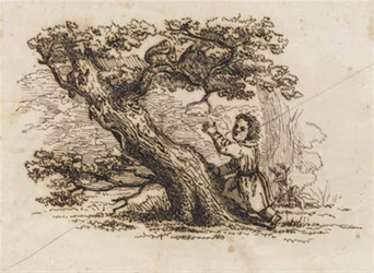 Illustration zu "Halvhundrede Fabler for Børn" von Hey